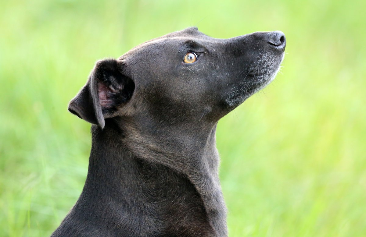 Tara Turkington tweet media