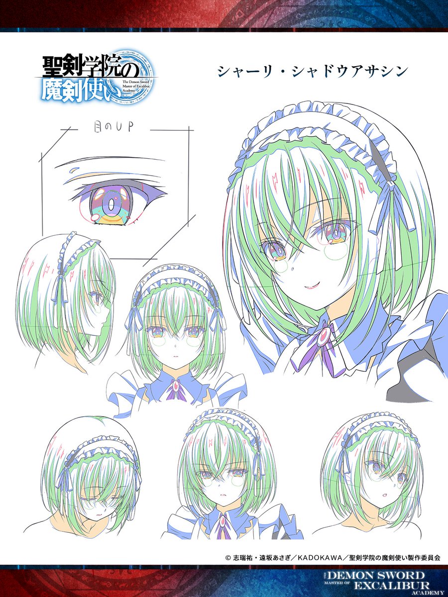 聖剣学院の魔剣使い 特大タペストリー シャーリ・シャドウアサシン 新品未開封 AMNIBUS-日常使いできるアニメグッズの通販サイト-