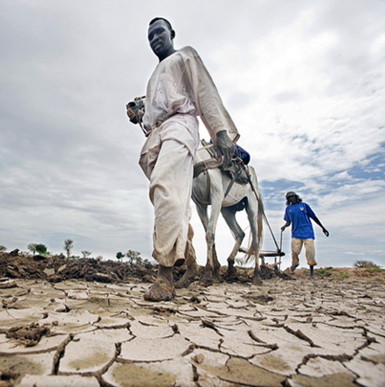 Today we host a conversation on the Climate-Humanitarian Nexus: @UNDRR & @UNOCHA experts are sharing insights and tools for Anticipatory Action in humanitarian response and the link to Disaster Risk Reduction. Let's build resilience together! #ClimateAction #HumanitarianResponse