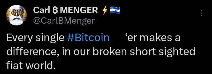 cryptotadisda's tweet photo. @CarlBMenger Why can't I see btc logo https://t.co/Yd6Hl0cq5i