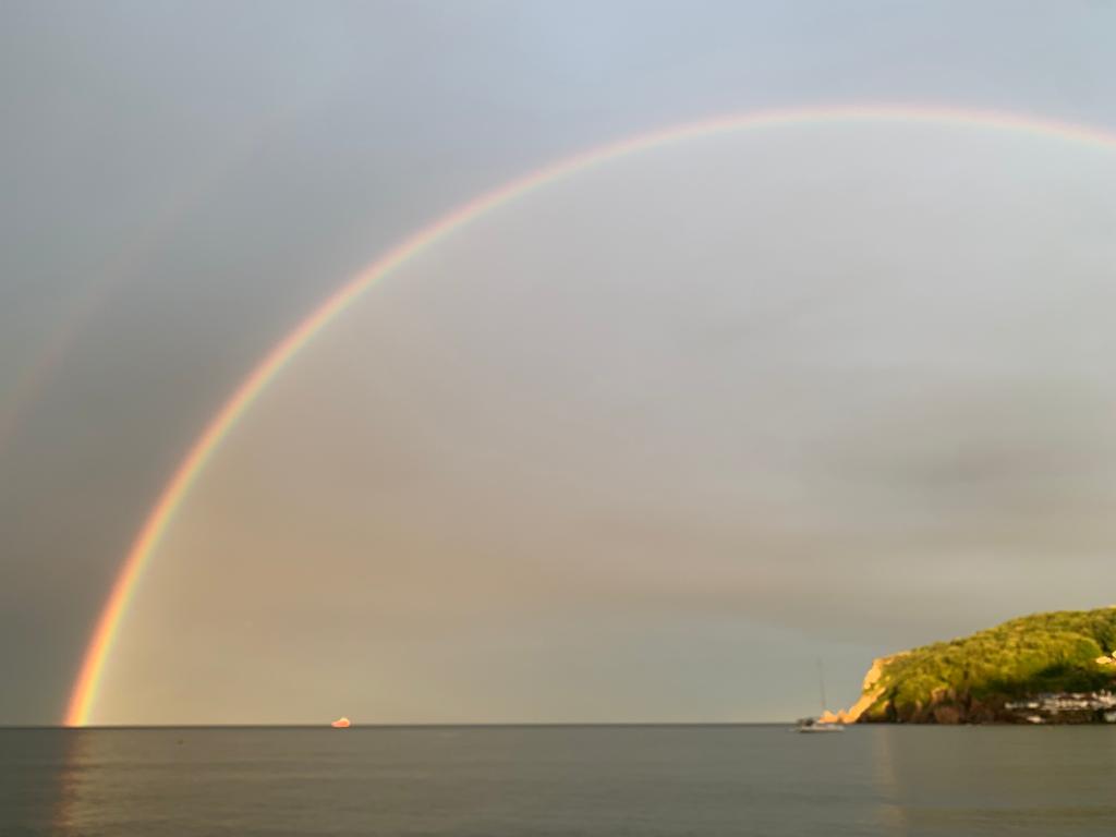 Hogsdom's tweet image. So grateful to live here 😁🙏