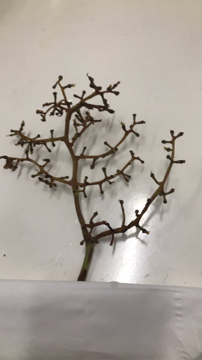 عندما تكون الحقوق متساويه