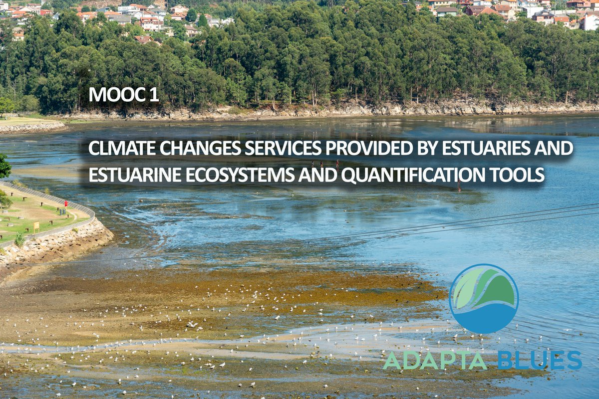 AdaptabluesPt's tweet photo. 🗣️Todavía chegou a tempo de se inscrever na primeira edição dos nossos cursos em linha sobre #Ecossistemas, #AlteraçõesClimáticas e ferramentas para financiar acções de restauro e conservação.

@LIFEprogramme @nature_org 
https://t.co/DLtjXfNq1T https://t.co/GnDDM3XD1o