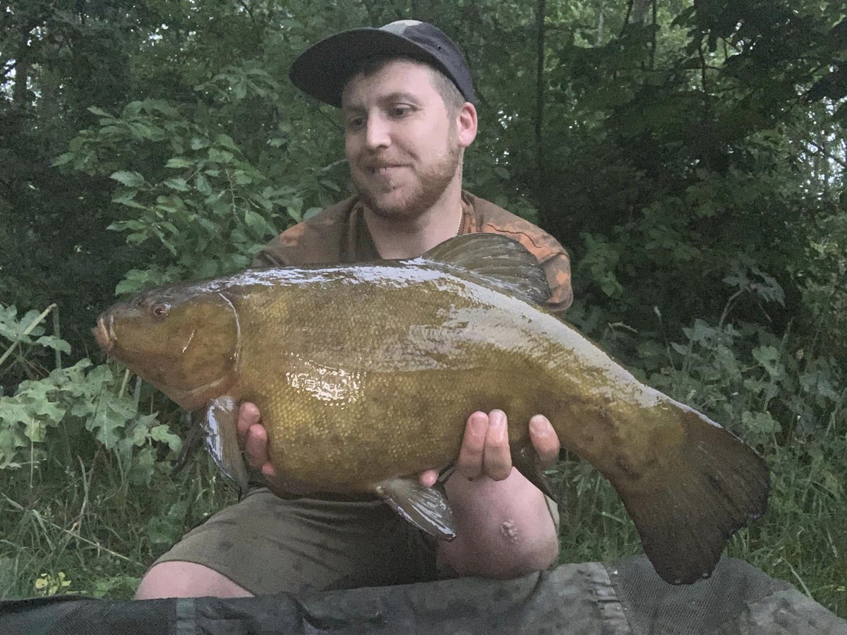 HindersFishing's tweet photo. New PB 32lb mirror called fingerprints and one of the 4 carp in the lake I was after. also managed a nice Tench &amp; Catfish

#teamhinders #hindersbait #nut365 https://t.co/Vs2MoZwThi