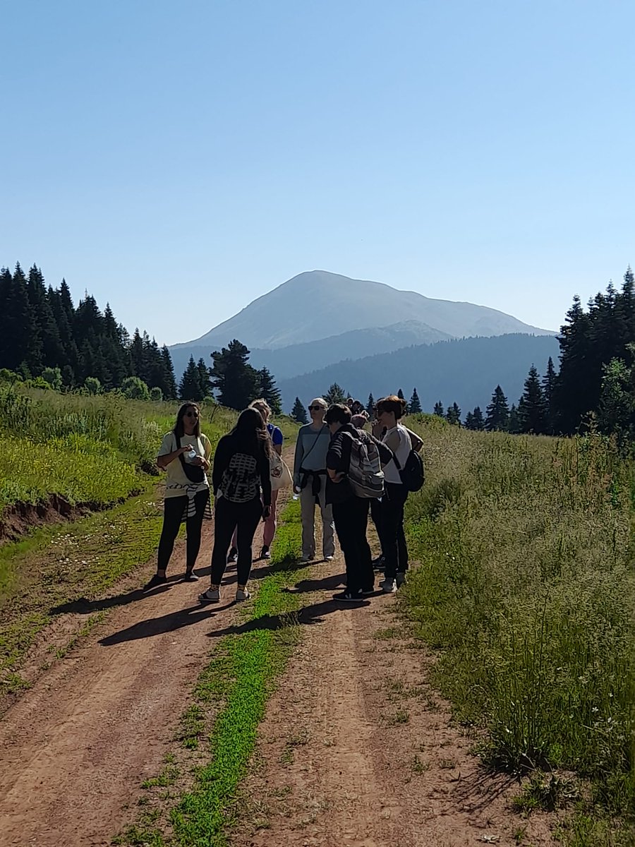 Biodiversity_be's tweet photo. Day 3 of #PESC7 kicks off where it truly counts: in nature!🌿
going birdwatching to experience #biodiversity concretely in the Ilgaz mountains🐦🏞️
Many thanks to @BES_Turkiye for making this possible
It fuels our energy as we dive into the ongoing @IPBES assessments https://t.co/joKYzVfQmI