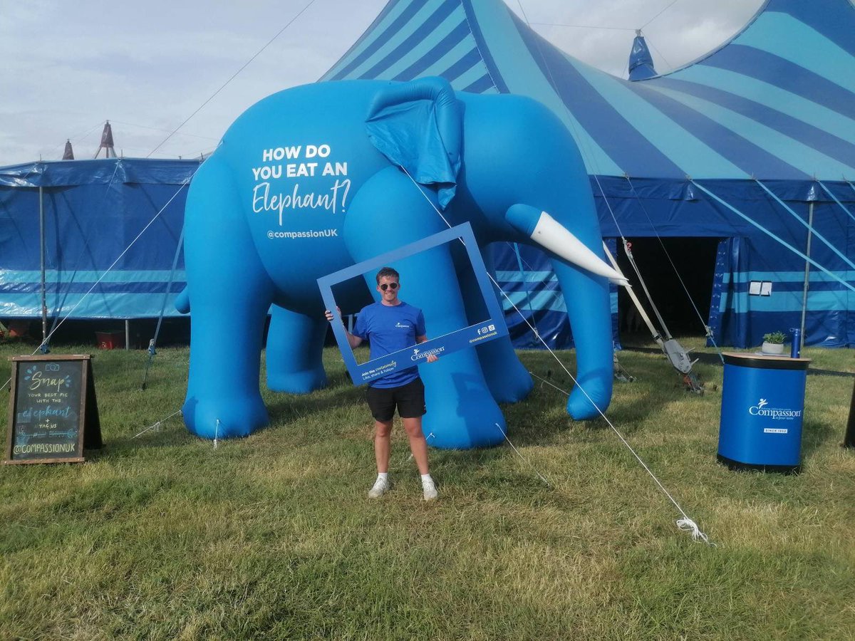 Cedarwood Festival tweet media