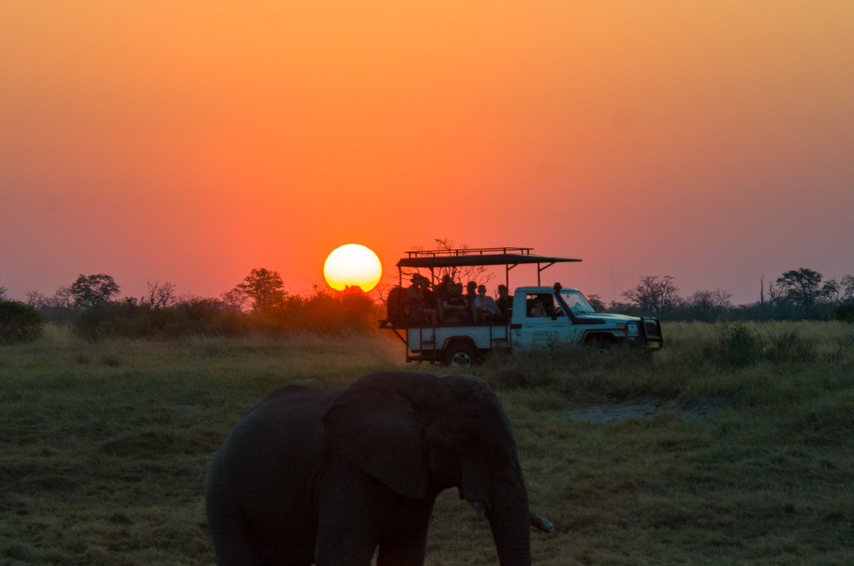 Jennifer English 💬 tweet media