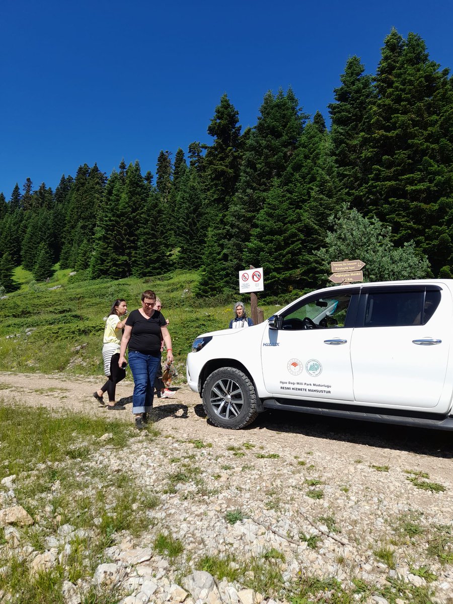 Biodiversity_be's tweet photo. Day 3 of #PESC7 kicks off where it truly counts: in nature!🌿
going birdwatching to experience #biodiversity concretely in the Ilgaz mountains🐦🏞️
Many thanks to @BES_Turkiye for making this possible
It fuels our energy as we dive into the ongoing @IPBES assessments https://t.co/joKYzVfQmI