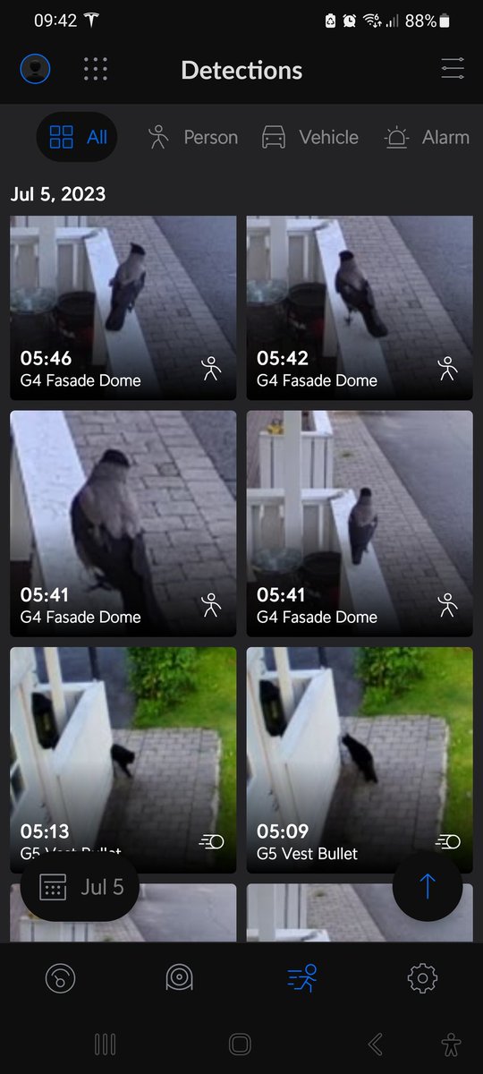 TOASTMA5T3R 🇧🇻 tweet media