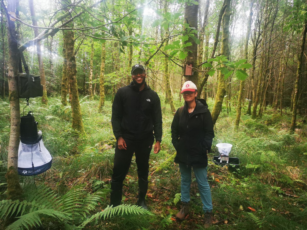 Rebecca Brown tweet media