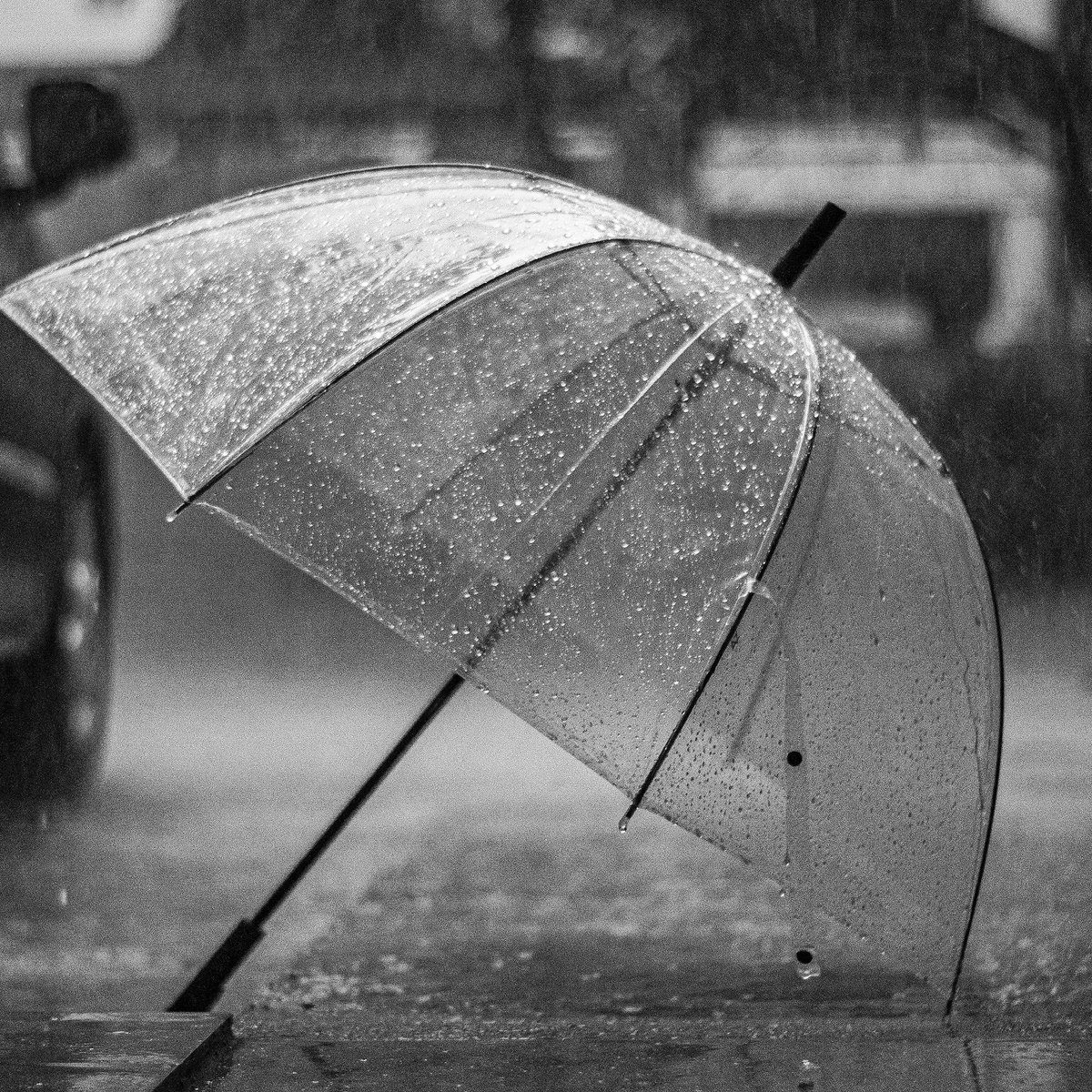 Onstuimig weer vandaag! De inzameling van afval en grondstoffen gaat door ondanks de storm. Een lege container waait gemakkelijk weg. Haalt u uw container zo snel mogelijk binnen nadat wij deze hebben leeggemaakt?