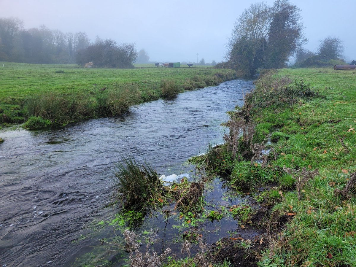 InlandFisherIE's tweet photo. π£ @InlandFisherIE will be carrying out instream restoration works on the Stonyford River in #Westmeath.
Over β¬72,000 in works will take place as part of @InlandFisherIE Habitats & Conservation Fund 2023.
#IFIConservation https://t.co/1Kfx8tHQG2