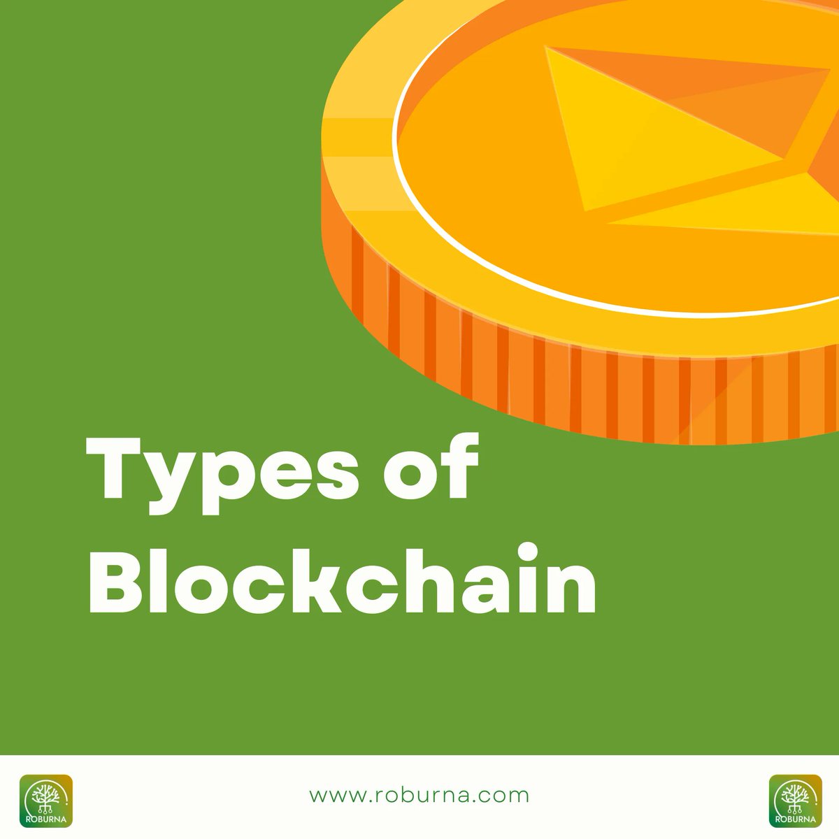 ROBURNA🌳 tweet media