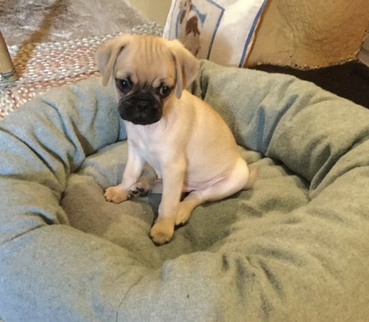 Chris Salt tweet media