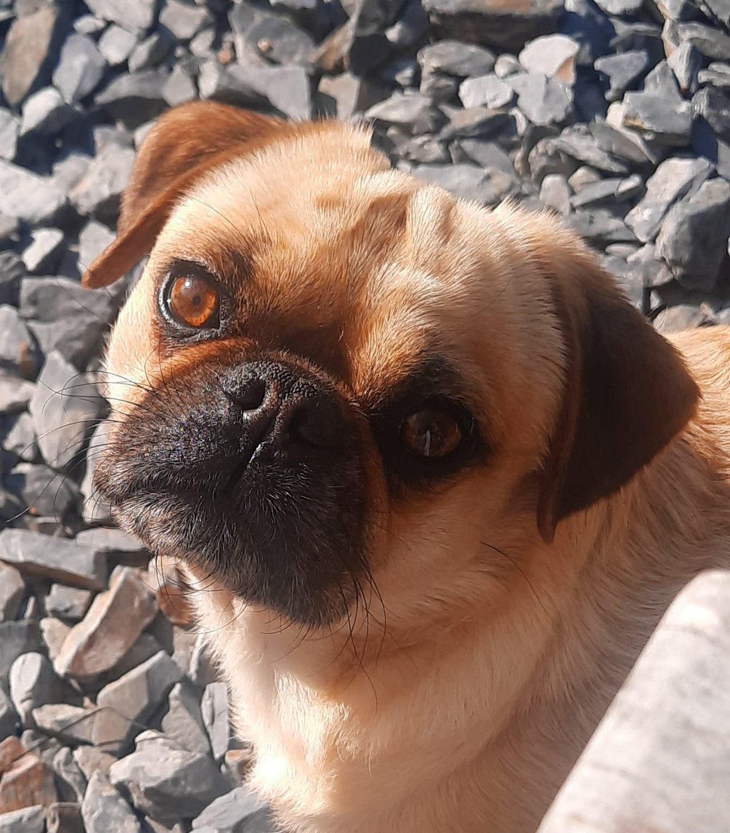 Chris Salt tweet media