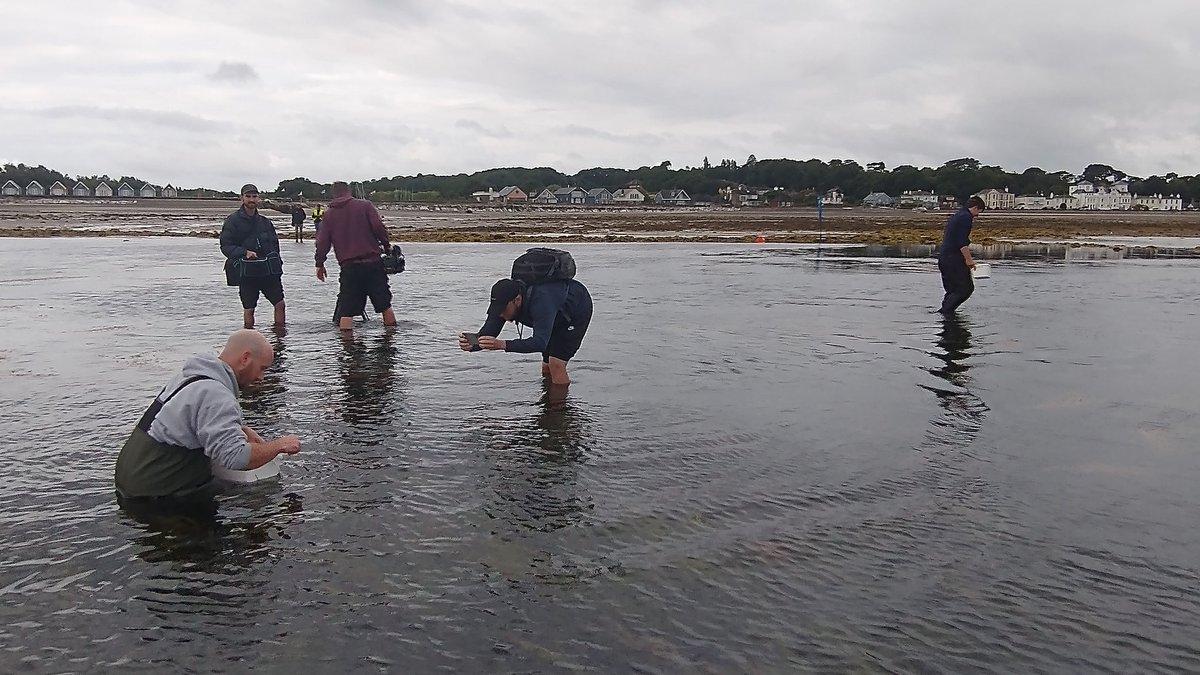 Tim Ferrero tweet media