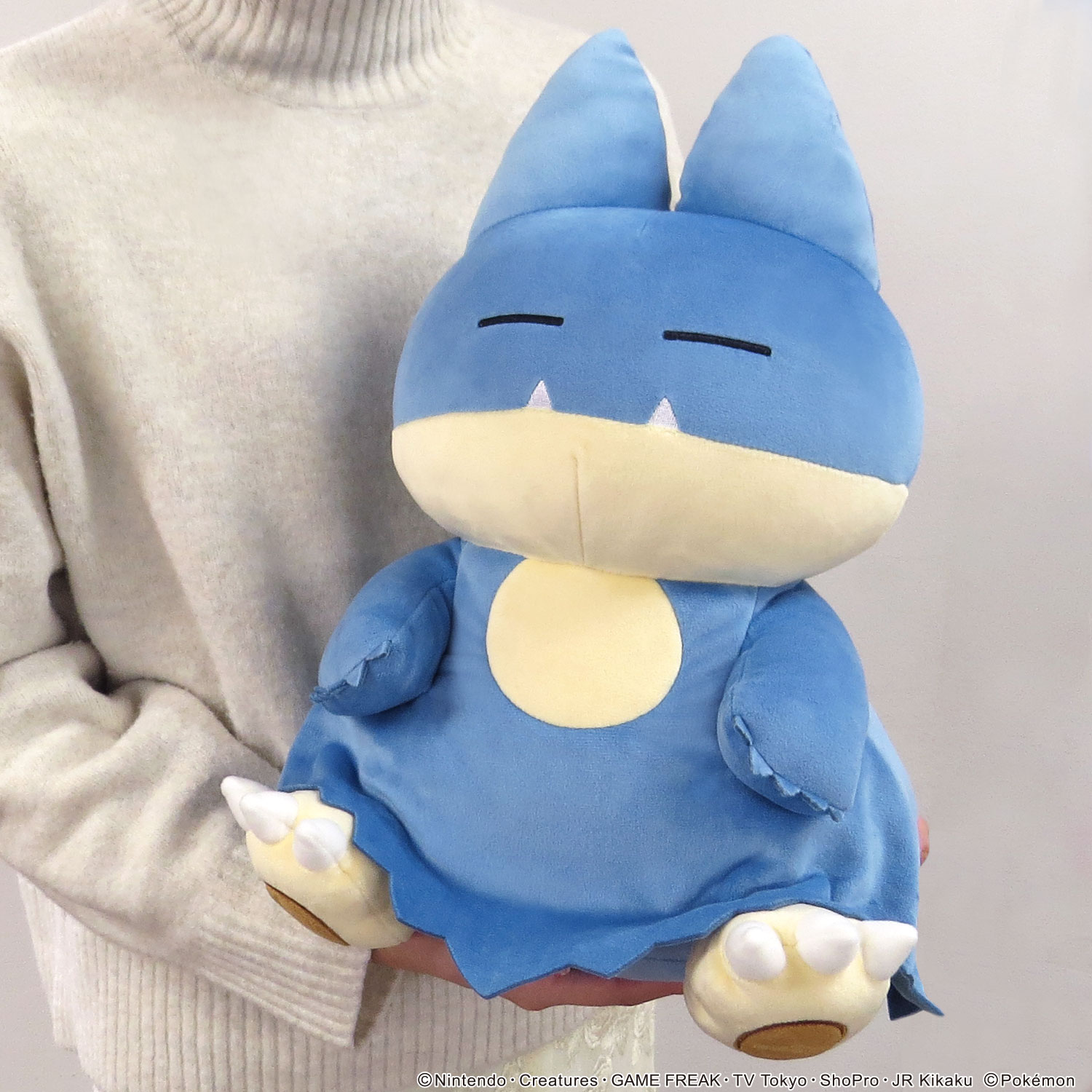 サンクリ　2020 summer almond スリーブ3種セット　ポケモン サンクリ 2020 summer almond スリーブ3種セット ポケモン 商品