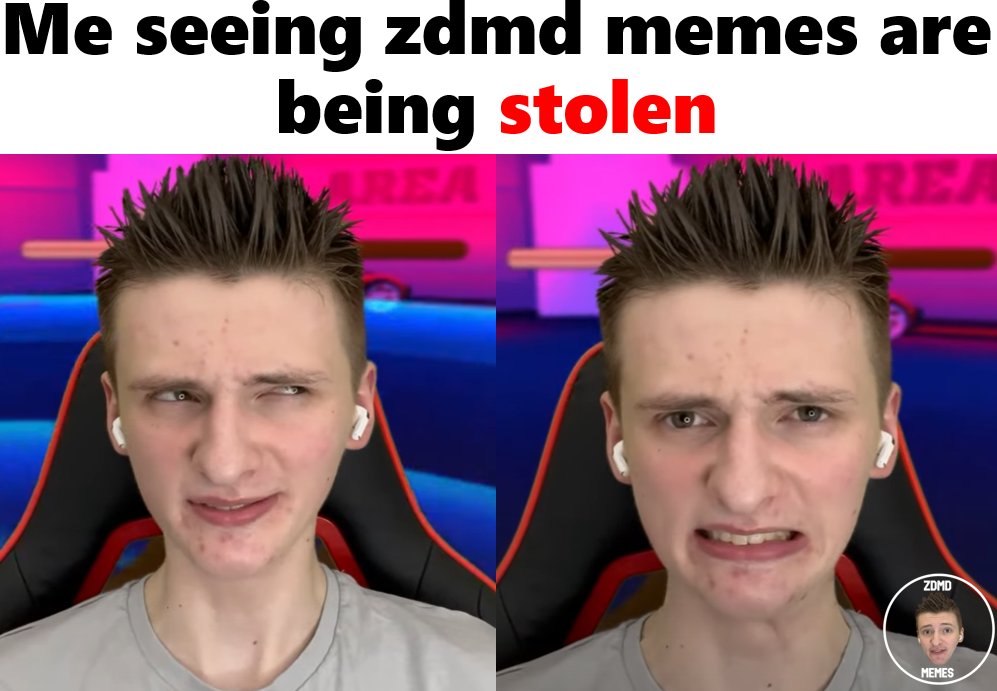 ZDMDmemes's tweet photo. This is for the dog to see https://t.co/51xQPMEJuJ