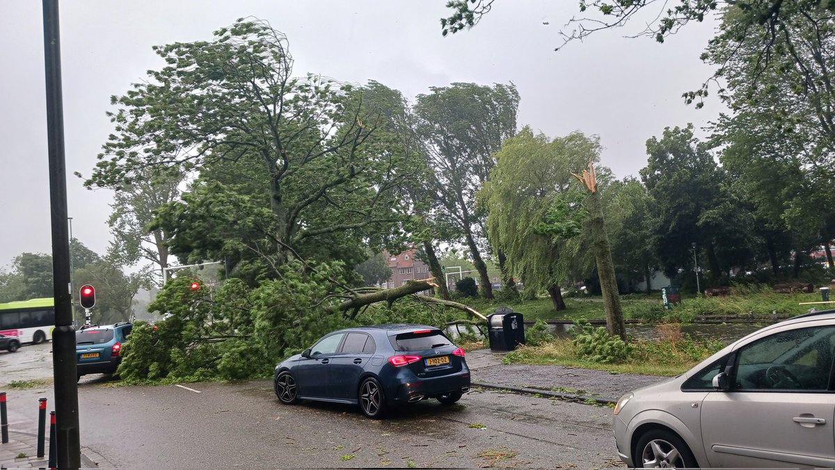 Dat was een ritje vol hindernissen door #Haarlem #Noord. #storm #Poly