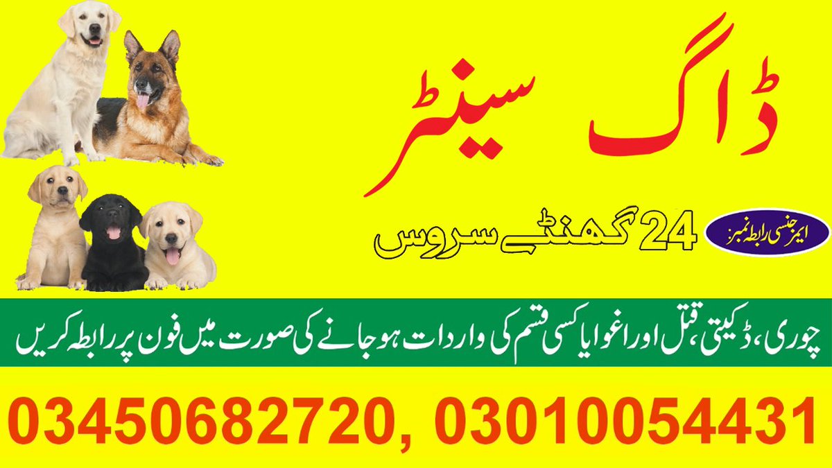 ArmyDogCentre2's tweet image. Army dog centre 
Searching sniffer dog services,
Lost in the wilderness, but found by their paws. These are the amazing stories of search sniffer dogs in action.
Contact # 0345-0682720/0300-5780720 
# #Armydogcentre #instadog #searchdogs #centre #emergency #thieves #coliedog