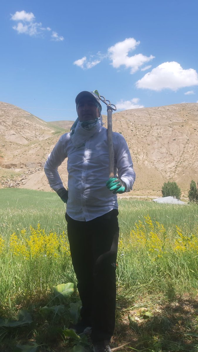 VuralErismis's tweet photo. Halê me Kurdan ev e Xebat û kar û şer e. https://t.co/encDknxyvf
