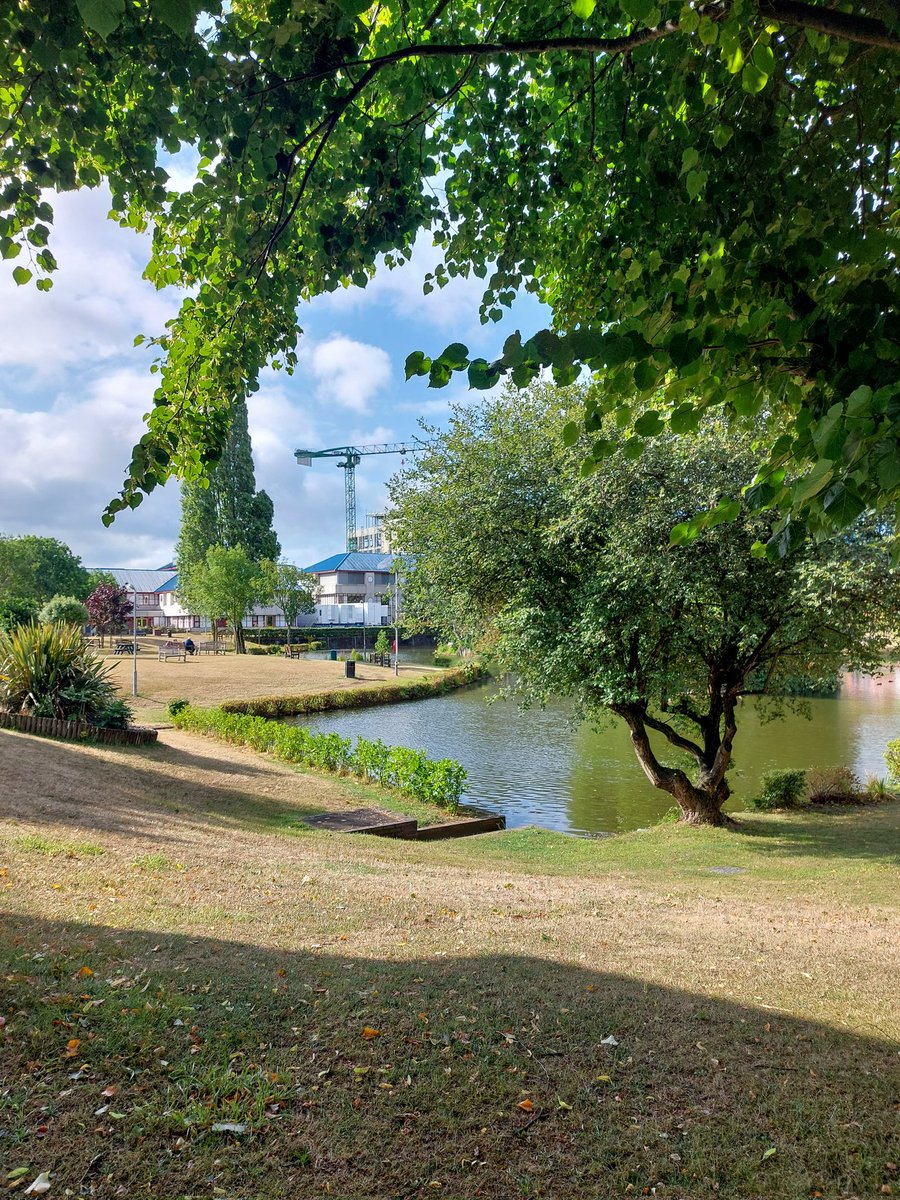 Grace Maughan tweet media