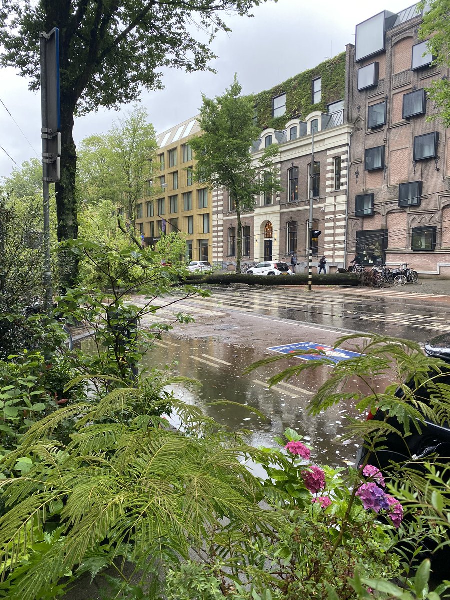 #StormPoly houdt huis op de Sarphatistraat. Geen verkeer meer mogelijk..