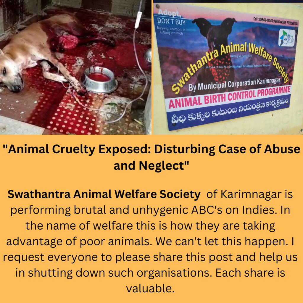 AllForAnimalsF1's tweet photo. Please share this post🙏. Fur babies don't deserve such fate, this is unacceptable. We need to make sure such fraudulent organisations are shut down. https://t.co/RsJksrNn7a