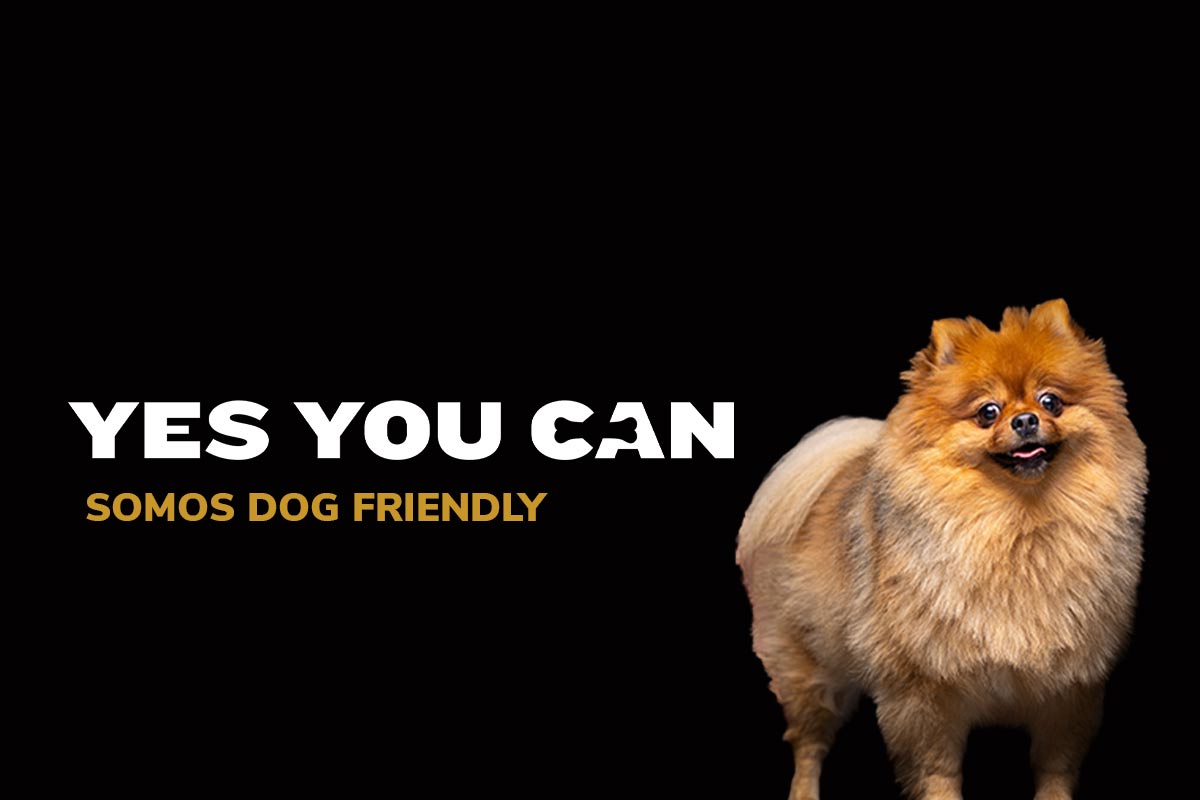 prnoticias tweet media