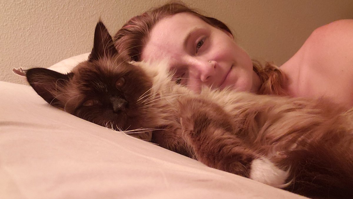 BeccasintheHall's tweet photo. So obsessed with cats https://t.co/AU47TbOjJ3
