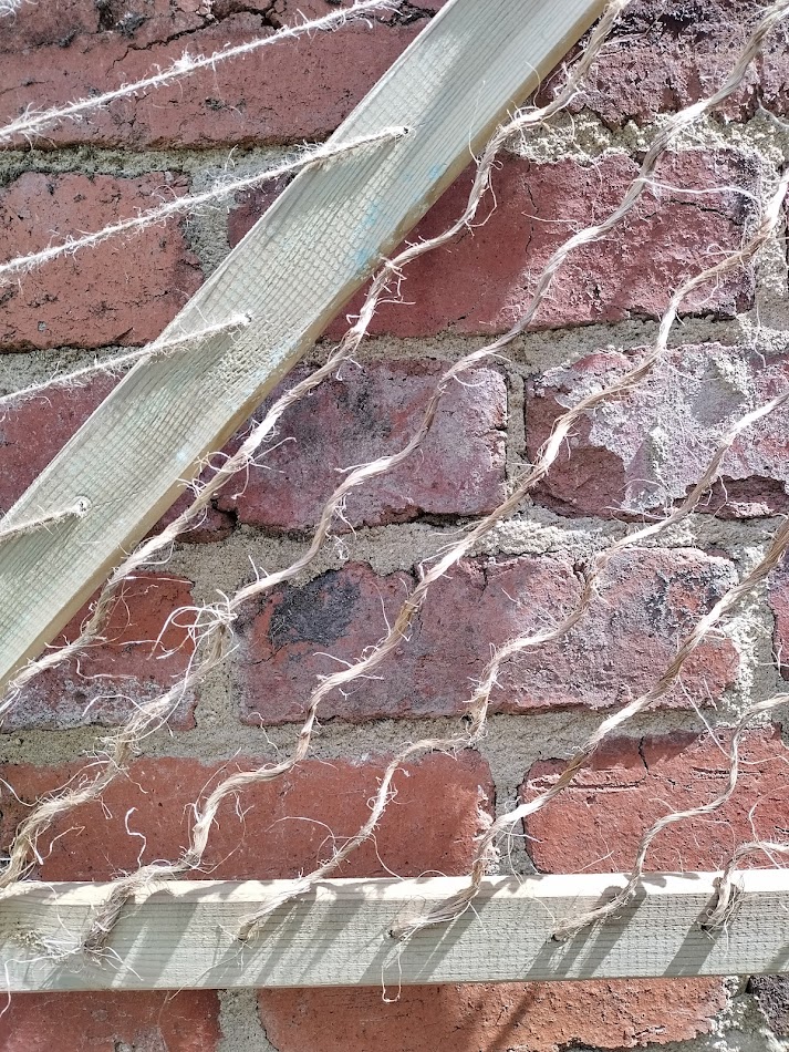 Custom trellis wall panels.
This  or  similar design £90 delivered &amp; fitted Keighley/Bradford area. 
Lower half  is jute string  as a biodegradable alternative to plastic mesh. Ideal for younger plants to get a grip.
Inspired by the local landscape. Made to measure for your home.