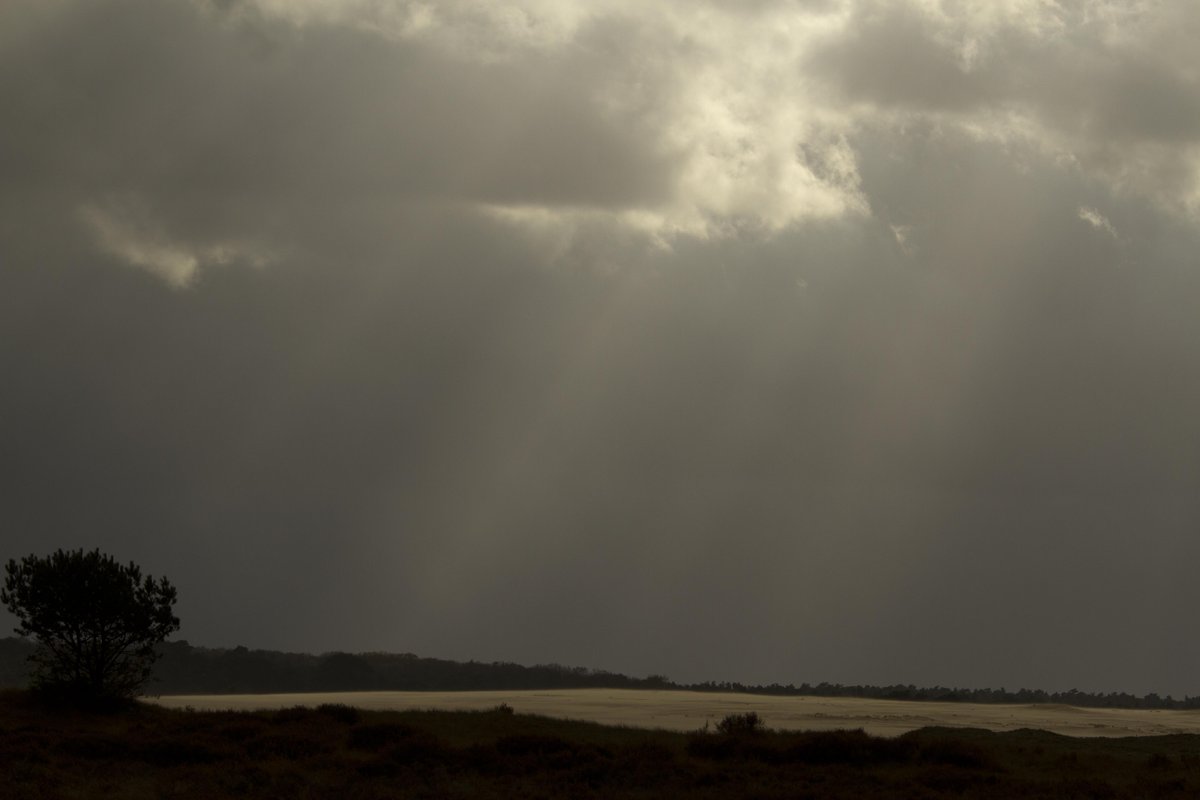 In verband met het stormweer is besloten uit veiligheidsoverwegingen het Park tot 16.00 uur te sluiten. Na 16.00 uur mogen bezoekers weer naar binnen.