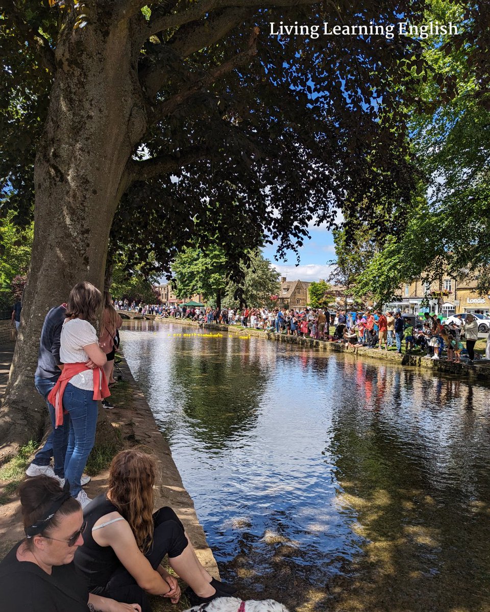 Living Learning English tweet media