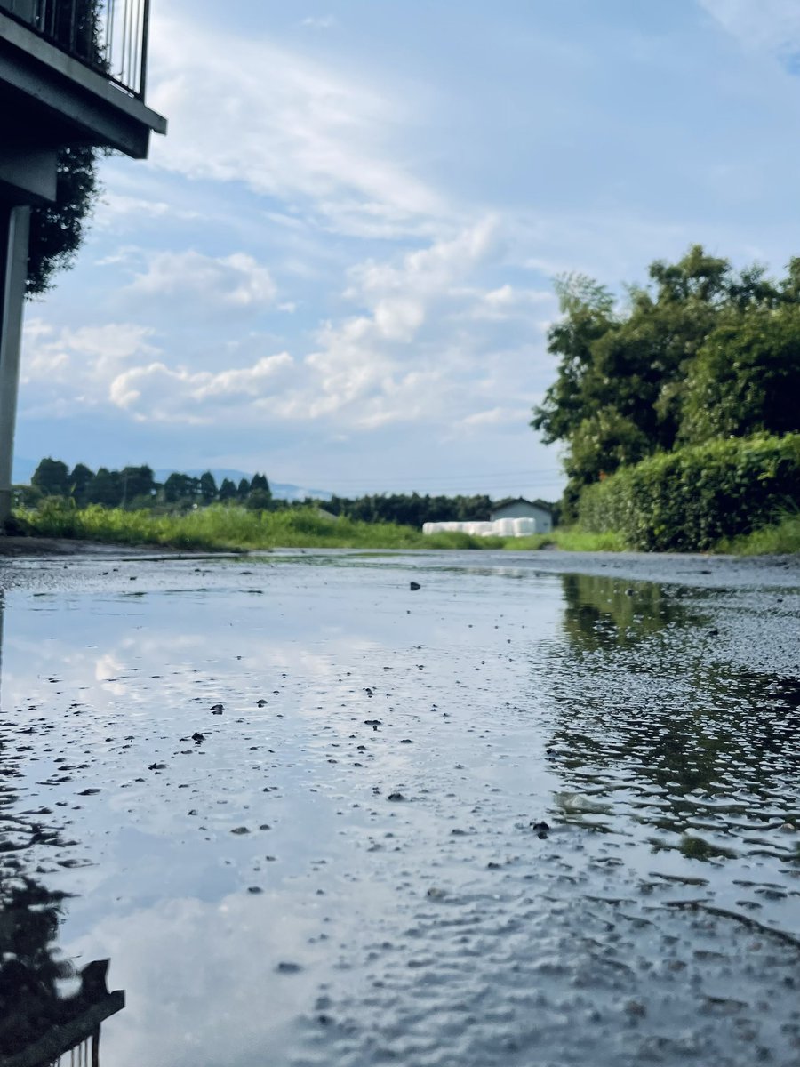 狐の嫁入りだわ🦊 https://t.co/QKcVQ3pKQ4