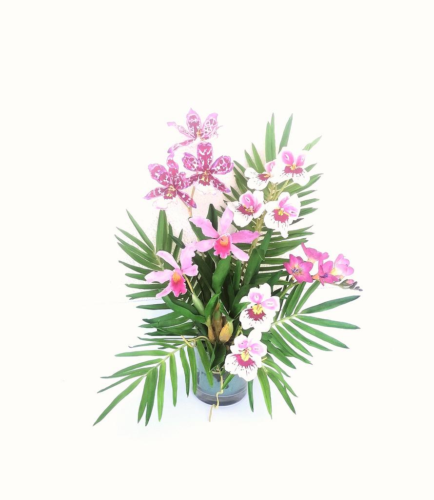 CakesDecor tweet media