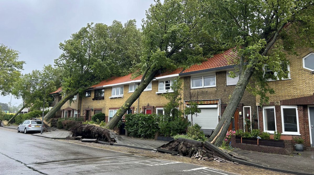 #StormPoly  in the NL 
code-red⚠️
Wind force 11 on the Richter scale💨
Intense in my garden🥺 the first fence section has already blown out..😕 

#Haarlem👇🏼 (not my town) #storm
