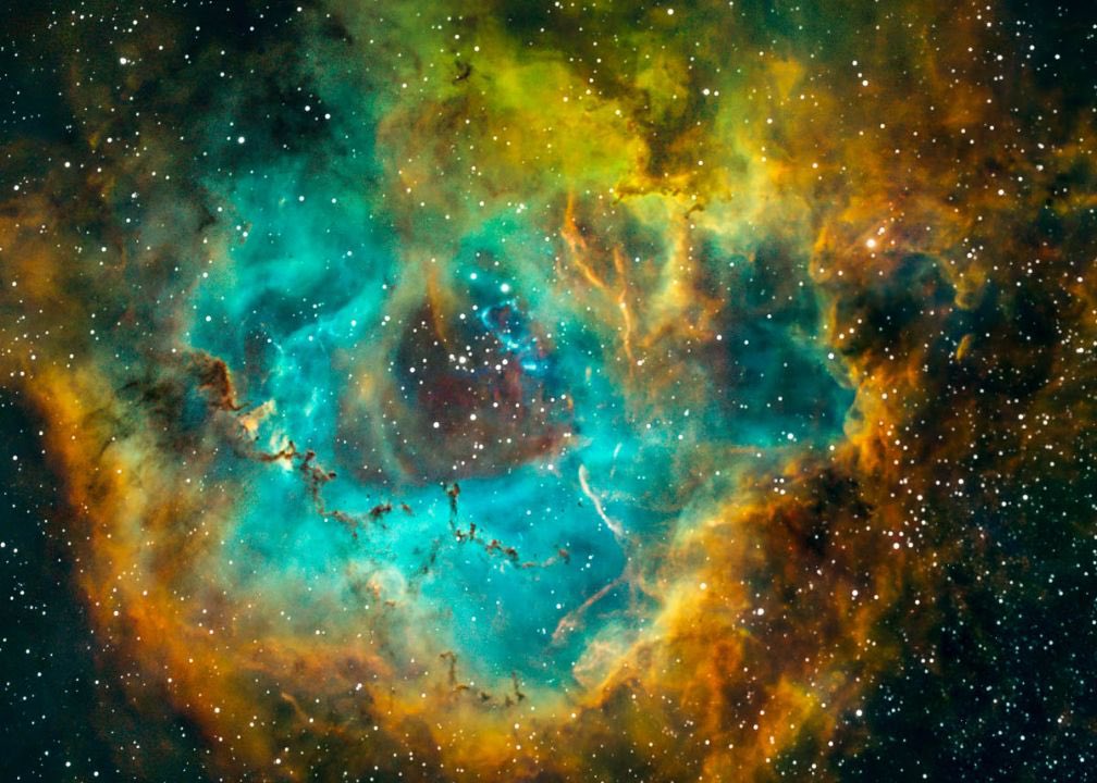 The XStudio on Twitter "Don’t worry about negativity they learn there