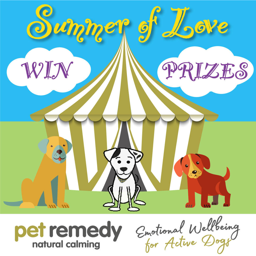 SUMMER OF LOVE' virtual dog festival Jul 1st - Aug 31st WIN GREAT PRIZES & DISCOUNTS One Year Supply of Pet Remedy A Day with our Dog Behaviourist 2024 Crufts Tickets Money Off Vouchers PLUS LIVE TALKS (inc Victoria Stilwell) petremedy.co.uk/summer-of-love/ #PetRemedySOL