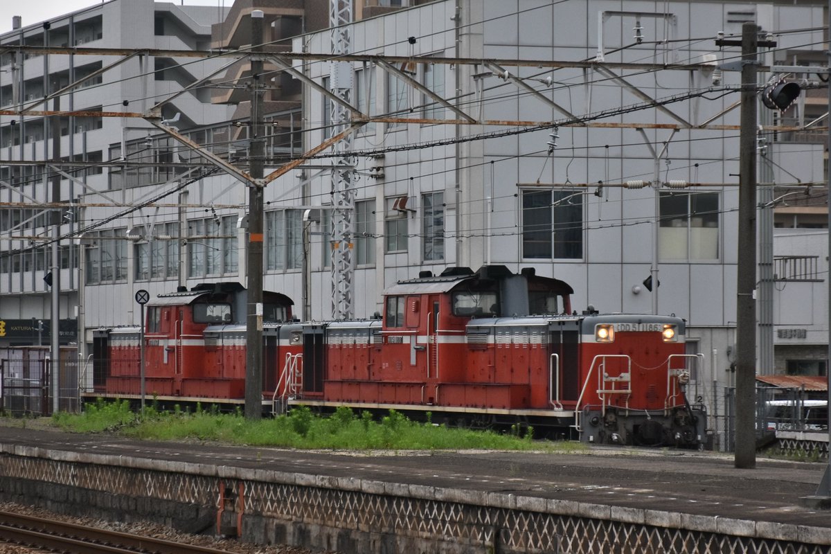 stream302620's tweet photo. 7月4日㈫
朝の倉敷駅で、サンライズを待っていると、
サプライズ？後藤のDD51が2連でやってきました。 https://t.co/NS0G1opIqI