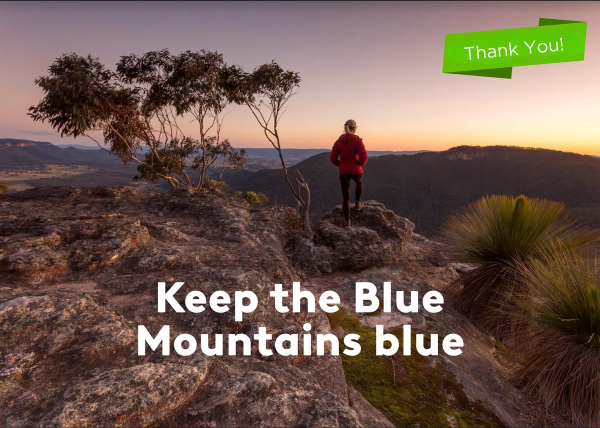 Our monthly donors enable us to be strategic and agile, so that we can respond to issues that have the potential to threaten the environmental integrity of the Blue Mountains. Thank you to our Mountains Guardians. Your donations are critical in keeping the Blue Mountains blue.