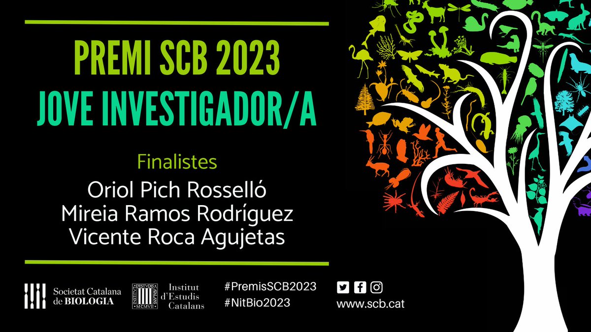 SCB_iec's tweet image. 🏆Avui us presentem els 3 finalistes del #PremiSCB2023 al #JoveInvestigador/a. Enhorabona!
➡️ Oriol Pich  @oriol_pich
➡️ Mireia Ramos @mireia_bioinfo
➡️ Vicente Roca 

Trobareu més informació sobre les tesis doctorals finalistes en aquest fil 👇

#NitBio2023 @iec