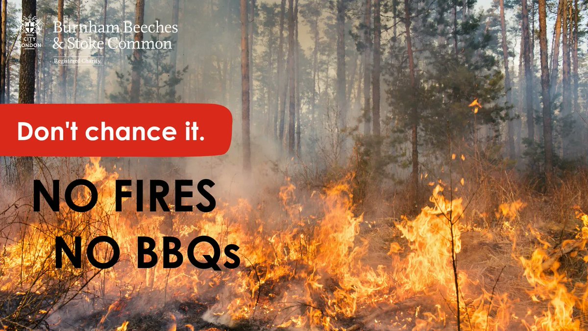 Don’t chance it. 

Fires have a devastating effect on habitats, animals, food sources & homes. Please help us to protect our #woodland & #heathland from wildfires.

Fires and barbeques are not allowed in #BurnhamBeeches or #StokeCommon. 
#BeWildfireAware.