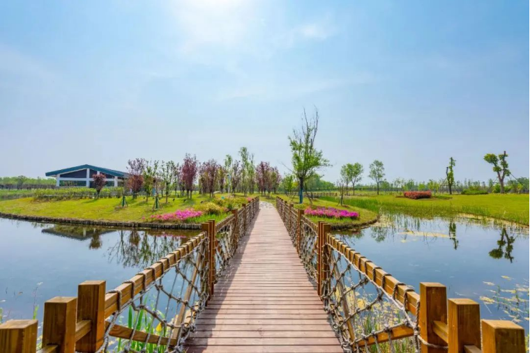 CSCECNEWS's tweet photo. #CSCECinSeasons ๐ณExperience the beauty of summer with CSCEC!
The keywords of summer are scorching sun, rich vegetation, and sea breeze... ๐๐ด๐
#Summer #architecture #Tree #BeautifulCSCEC https://t.co/6gQhzGUrhn