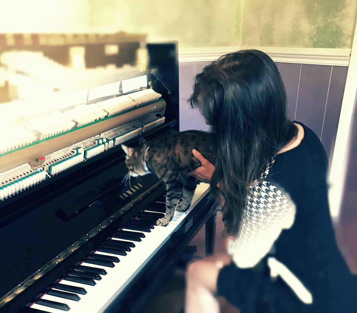 This is our cat, Mozy (short for 'Mozart'). We call her our 'dog cat' because, she does some pretty cool dog-like things... 1. She comes when she is called. 2. She lets us pick her up and carry her around. 3. She craves attention. And fortunately, she seems to like piano musi