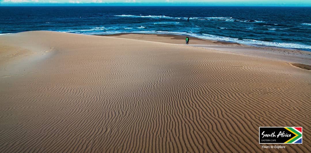 Gqeberha is eagerly waiting for you to come and enjoy the vibrant city of Nelson Mandela Bay on your complimentary Pre-Tour proudly hosted by the Nelson Mandela Bay Convention Bureau. 

saaci.org/saaci-national…)