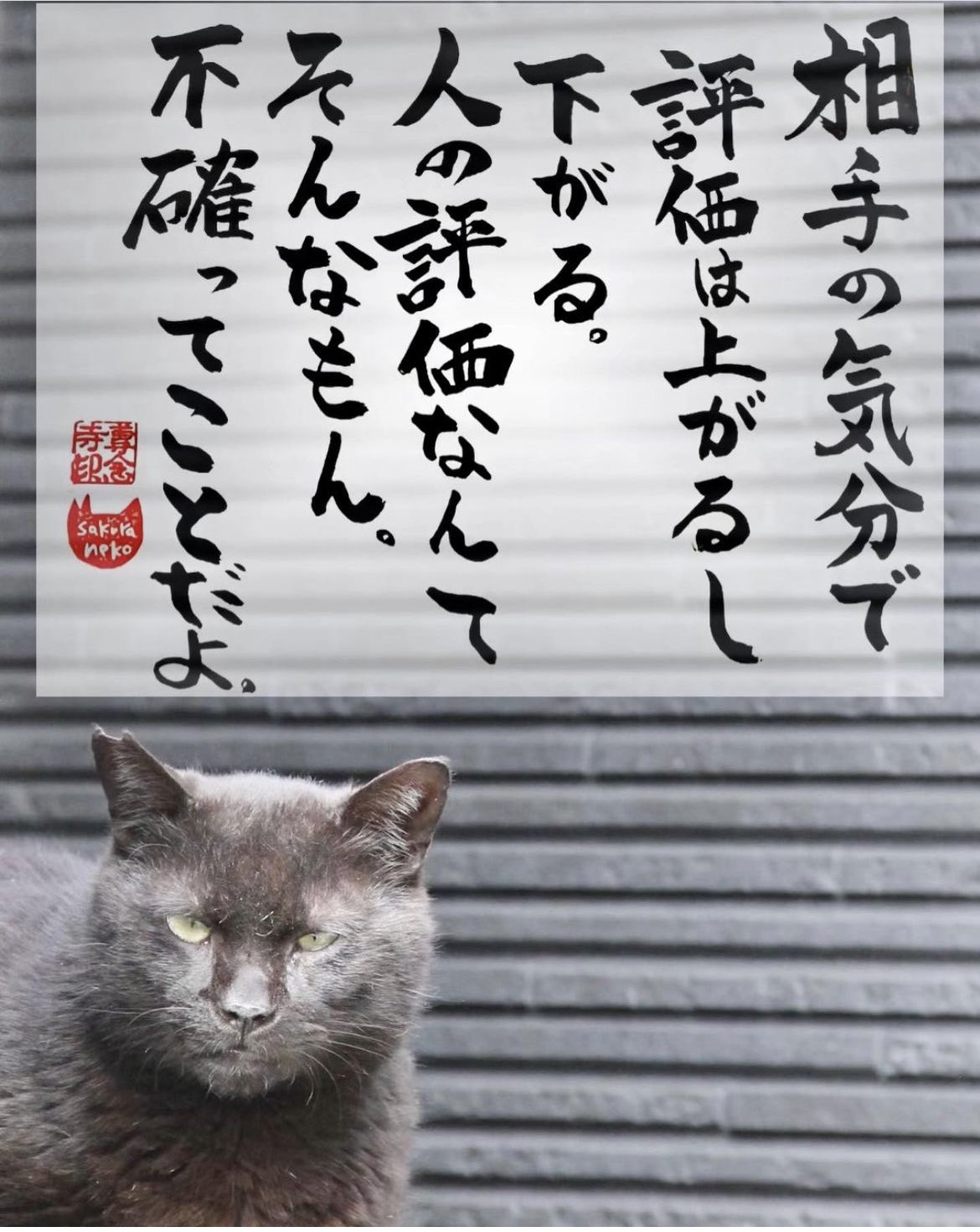 ねこさん Amazon.co.jp: ZENIX DESIGN TECH iPhone16 用 ケース
