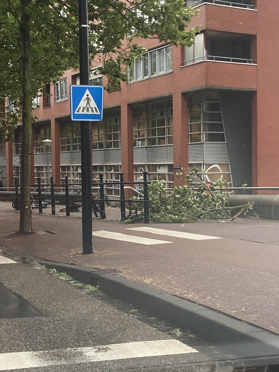 Around Amsterdam, all the highways are closed with tree branches or accidents. Dont leave the home 🌪️ #storm #Amsterdam #CodeRood #Poly