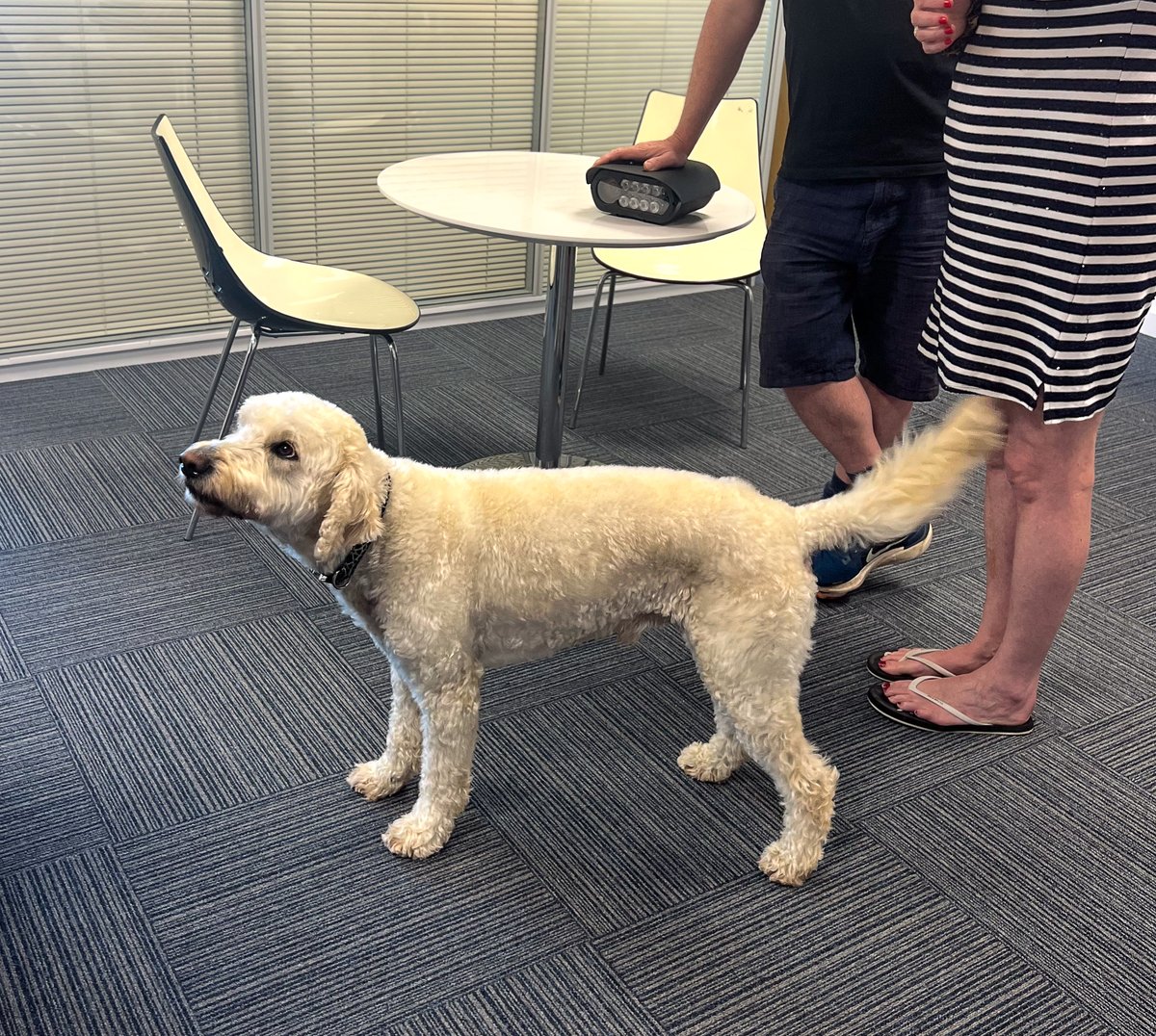 Introducing Chester, the beloved office dog at Vero Innovation! While he's the CMO - Chief Morale Officer for the company, Chester has also become a cherished companion to numerous tenants throughout the entire building.

#SocUK #BusinessHighlight #CAIBuilding #WorkspaceAmenities