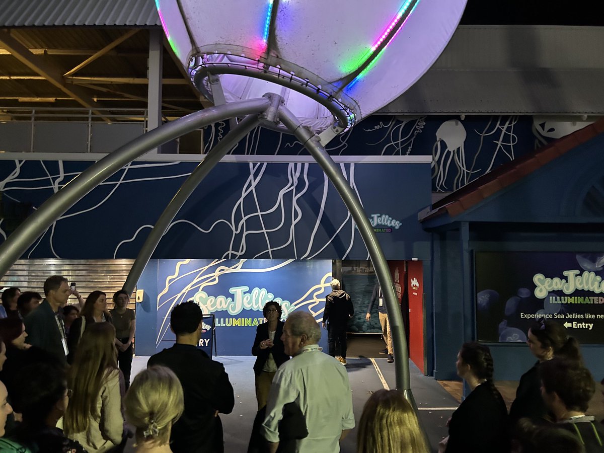 Behind the scenes tour of #Seaworld #SeaJellies. ‘Disneyland for a jelly fish scientist’ with Prof Kylie Pitt. #griffithUni  ⁦@AMSAconf⁩ #AMSA2023