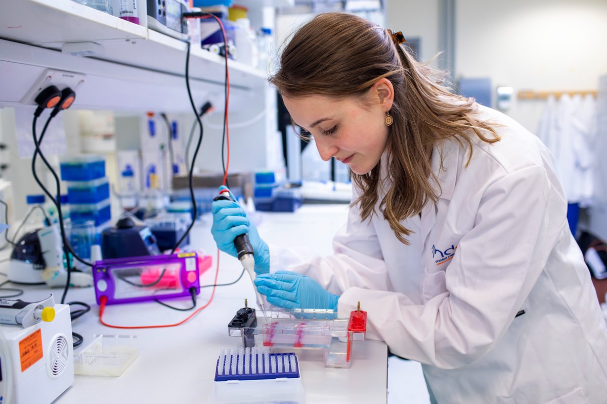 On #ResearchAppreciationDay we would like to thank the dedicated researchers from all around the world who are working tirelessly in the fight against #MND #ALS.

We are stronger together. 💙 🧡

#WithoutResearchItsJustGuesswork